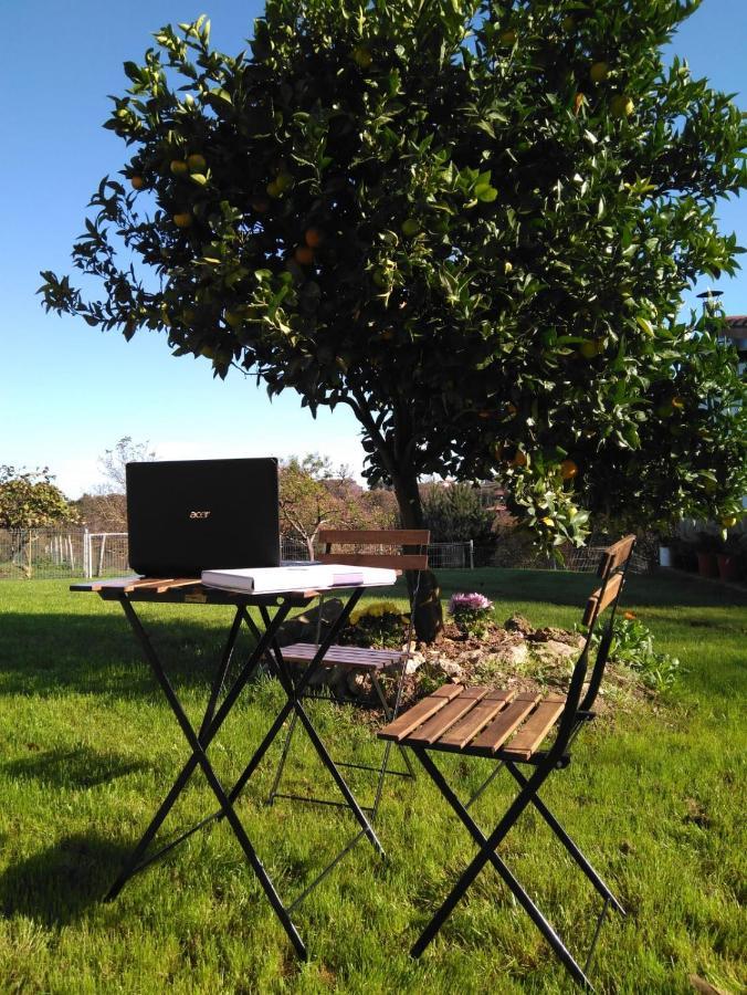 Séjour à la campagne El Llagar - Sagasta Rural *