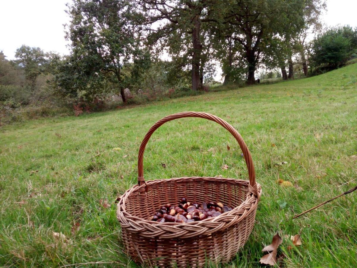 El Llagar - Sagasta Rural Séjour à la campagne Oviede