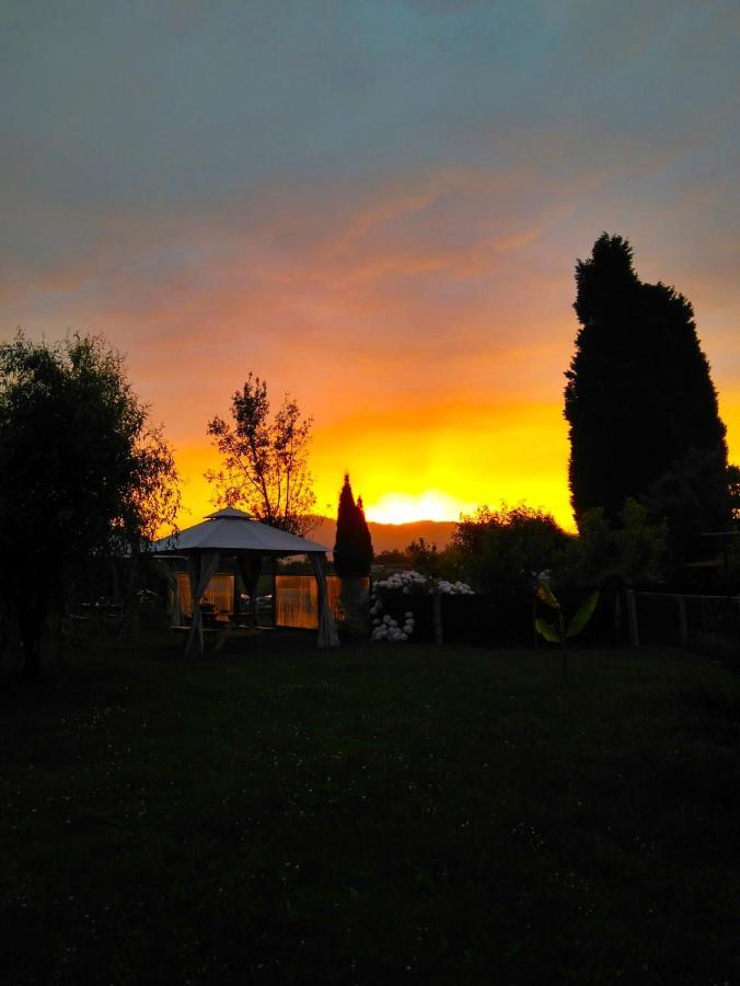 Séjour à la campagne El Llagar - Sagasta Rural