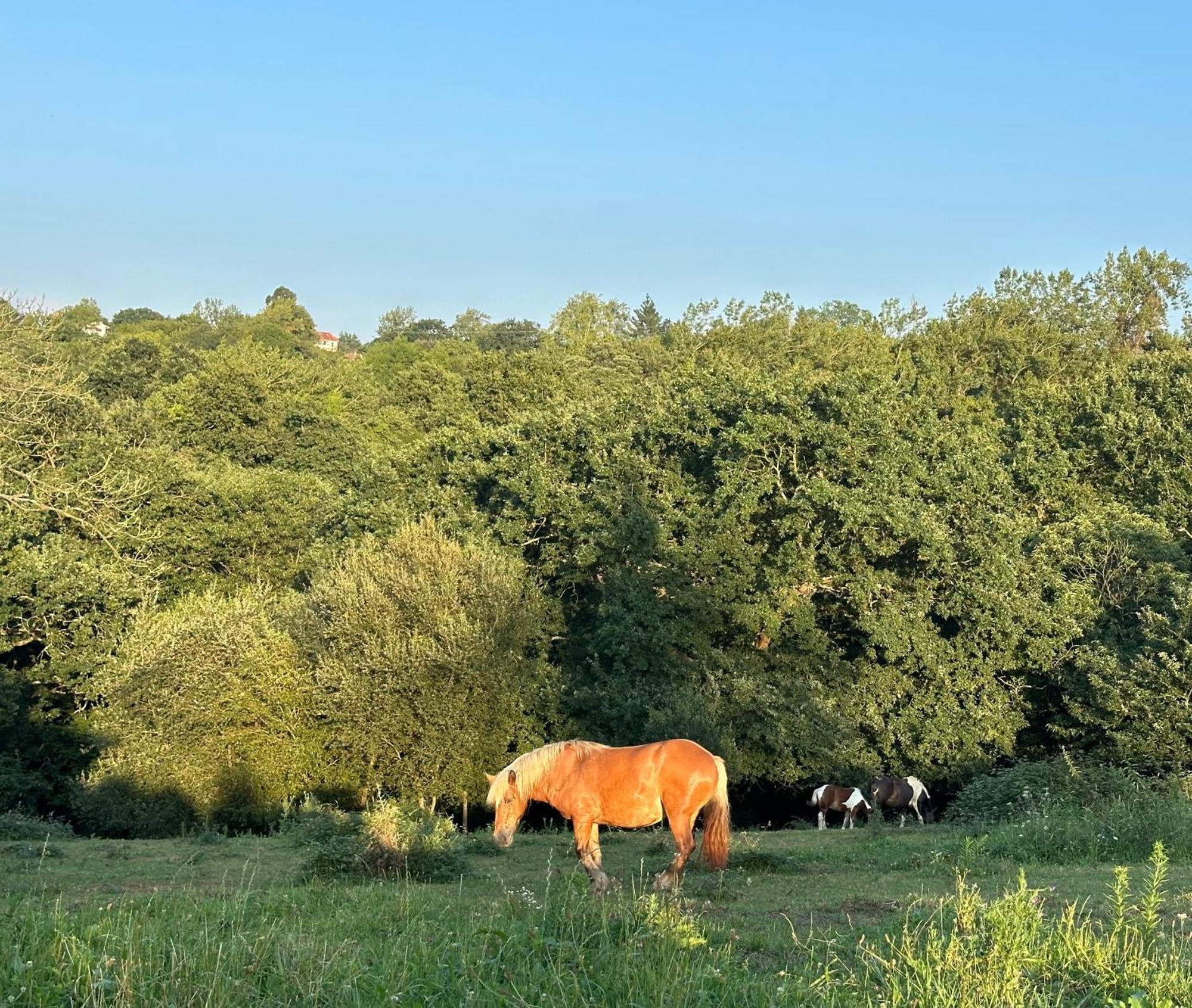 Séjour à la campagne El Llagar - Sagasta Rural Oviede