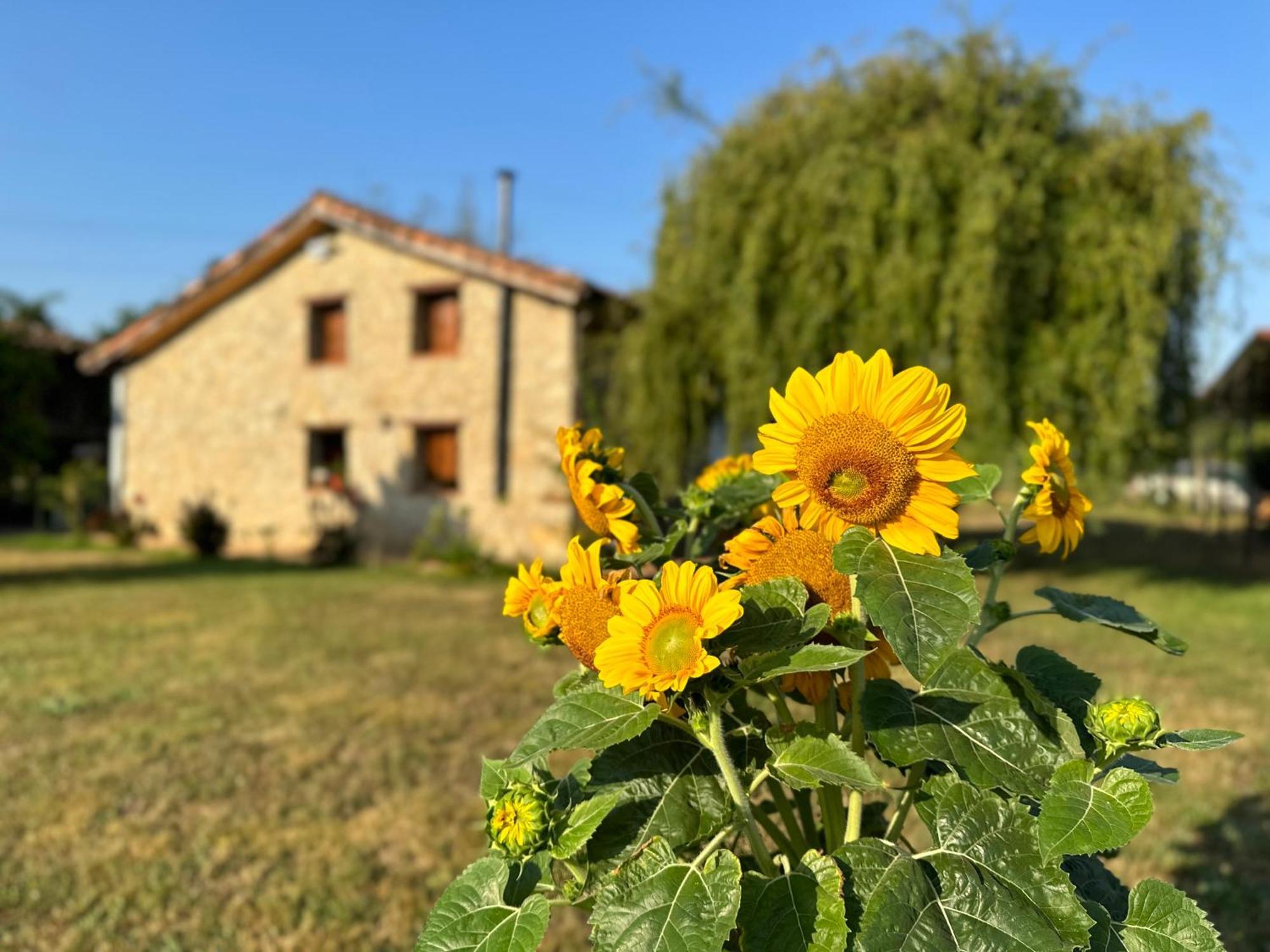 El Llagar - Sagasta Rural Séjour à la campagne